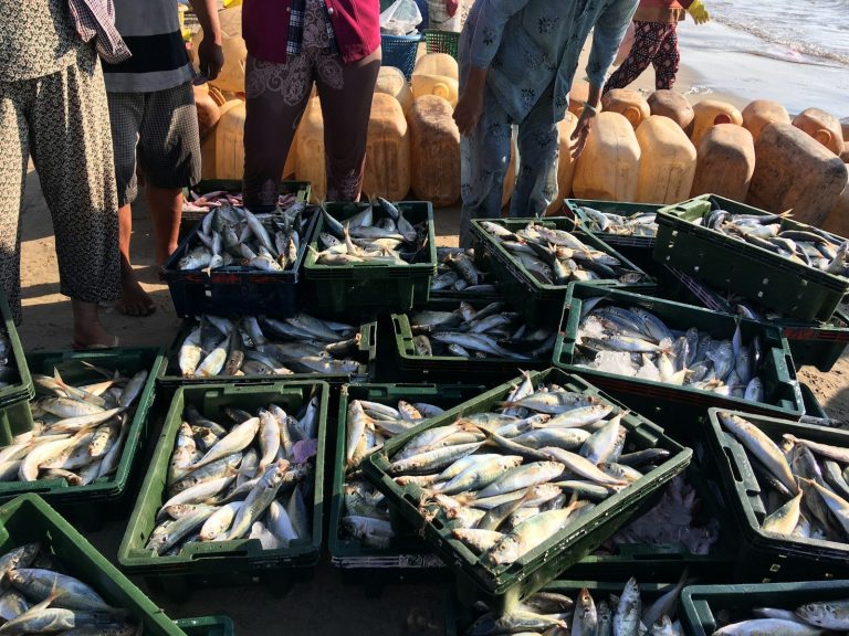Fiskemarked i spansk havneby